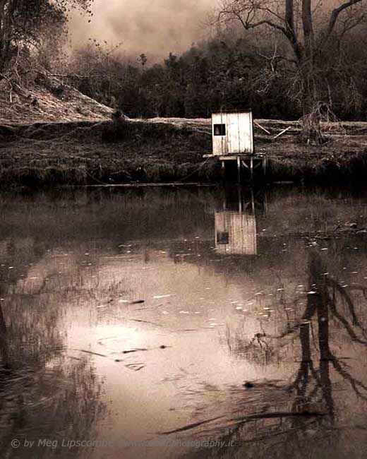 Mokau Hut